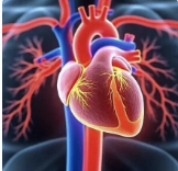 【重磅新汇总】2025心衰药物最强榜单出炉！8大RCT全面对比：谁真能救命？谁只是“安慰剂”？